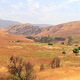 Rolling Hills and Grasslands