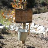 Watering Bucket At Lower Pond