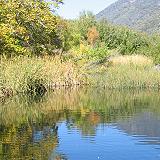 Oak Glen Wetlands