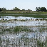 Vernal Pools - Santa Rosa Plateau