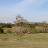 A Portion Of The Sylvan Meadows - Santa Rosa Plateau